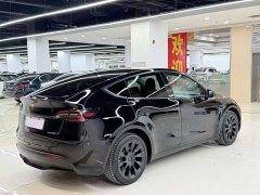Tesla Model Y standard range rear-wheel drive version - фото 4