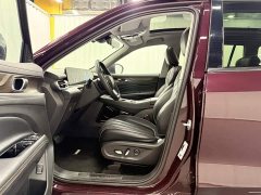Lingyu 2021 EcoBoost 225 Collar Type PLUS 6-seater - фото 12