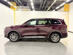 Lingyu 2021 EcoBoost 225 Collar Type PLUS 6-seater - фото 3