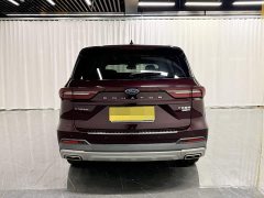 Lingyu 2021 EcoBoost 225 Collar Type PLUS 6-seater - фото 5