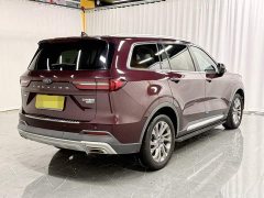 Lingyu 2021 EcoBoost 225 Collar Type PLUS 6-seater - фото 6