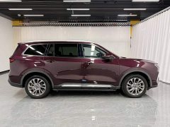 Lingyu 2021 EcoBoost 225 Collar Type PLUS 6-seater - фото 7