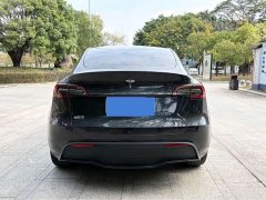 Tesla Model Y rear-wheel drive version - фото 9