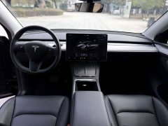 Tesla Model Y rear-wheel drive version - фото 13