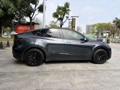 Tesla Model Y rear-wheel drive version - фото 16