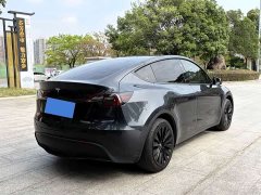 Tesla Model Y rear-wheel drive version - фото 5