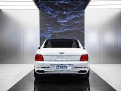 Geely Flying Spur 2020 6.0T W12 Standard Edition - фото 13