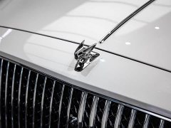 Geely Flying Spur 2020 6.0T W12 Standard Edition - фото 14