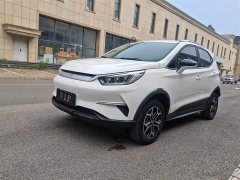 BYD Yuan Pro 2021 401KM Deluxe Edition - фото 11