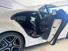 Mercedes-Benz CLS 2021 CLS 300 Luxury - фото 15