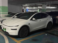 Tesla Model Y rear-wheel drive version - фото 1