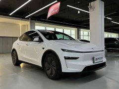 Tesla Model Y rear-wheel drive version - фото 3