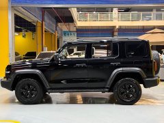 Tank 300 2021 Off-Road Version 2.0T Conqueror - фото 4