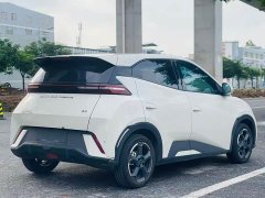 BYD Seagull Honor Edition 305km Free Edition - фото 5