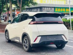 BYD Seagull Honor Edition 305km Free Edition - фото 6