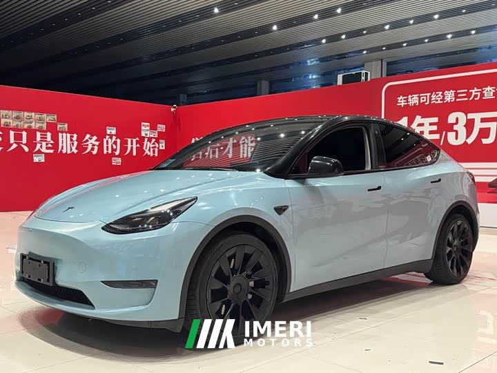 Tesla Model Y standard range rear-wheel drive version - автомобиль из Китая