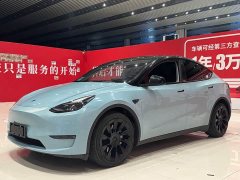 Tesla Model Y standard range rear-wheel drive version - фото 1