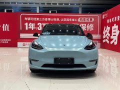 Tesla Model Y standard range rear-wheel drive version - фото 2