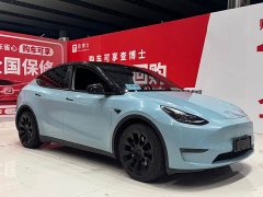 Tesla Model Y standard range rear-wheel drive version - фото 3