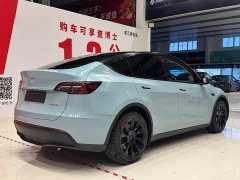 Tesla Model Y standard range rear-wheel drive version - фото 4
