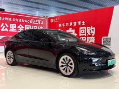 Tesla Model 3 Standard Range Rear Drive Upgraded Version - фото 3
