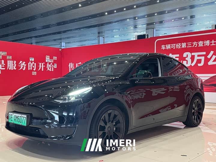 Tesla Model Y rear-wheel drive version - автомобиль из Китая