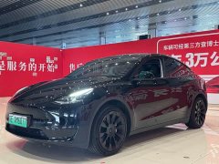 Tesla Model Y rear-wheel drive version - фото 1