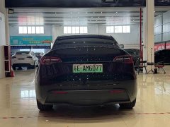 Tesla Model Y rear-wheel drive version - фото 5