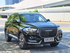 Haval H6 1.5GDIT Edition - фото 3