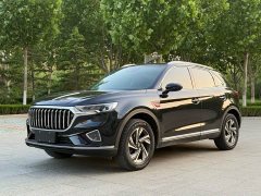 Hongqi HS5 2.0T Zhilian Qiyue Edition - фото 1