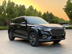 Hongqi HS5 2.0T Zhilian Qiyue Edition - фото 3