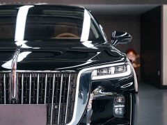 Hongqi H9 2020 2.0T Zhilian Qichang Edition - фото 5