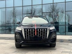Hongqi HS5 2023 2.0T Qixiang Pro Edition - фото 2
