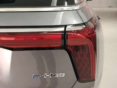 Hongqi E-HS9 660km Qichang version six seats - фото 6