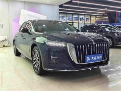 Hongqi H5 2023 2.0T automatic smart connected flag version - фото 3