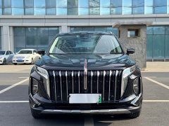 Hongqi HS7 PHEV 2.0T PHEV four-wheel drive Qichang version 6 seats - фото 2