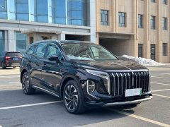 Hongqi HS7 PHEV 2.0T PHEV four-wheel drive Qichang version 6 seats - фото 3