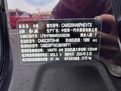 Hongqi HQ9 PHEV 2.0T four-wheel drive luxury version - фото 15