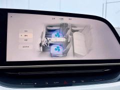 Hongqi Tiangong 08 2025 730 Max rear-wheel drive version - фото 12