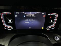 Hongqi H5 2.0T Automatic Intelligent Connected Flag Edition - фото 17