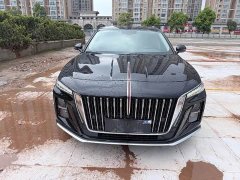 Hongqi H5 2023 1.5T DCT Connected Qiyun Edition - фото 2