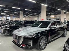 Hongqi H5 2023 2.0T Automatic Zhilianqichang Edition - фото 1