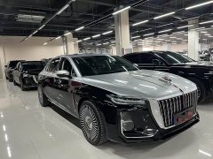 Hongqi H5 2023 2.0T Automatic Zhilianqichang Edition - фото 3