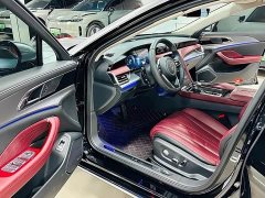 Hongqi H5 2023 2.0T Automatic Zhilianqichang Edition - фото 7