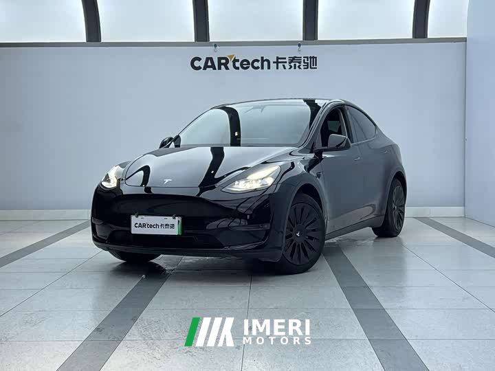 Tesla Model Y long-range all-wheel drive version - автомобиль из Китая