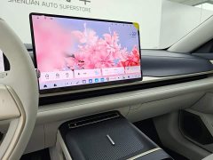 Buick Envision Plus Avenir - фото 10