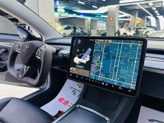Tesla Model 3 facelift standard range rear drive upgraded version 3D1 - фото 13