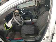 Changan Benben E-Star 2020 Heartbeat Edition ternary lithium - фото 15