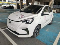 Changan Benben E-Star 2020 Heartbeat Edition ternary lithium - фото 2