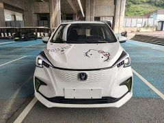 Changan Benben E-Star 2020 Heartbeat Edition ternary lithium - фото 3